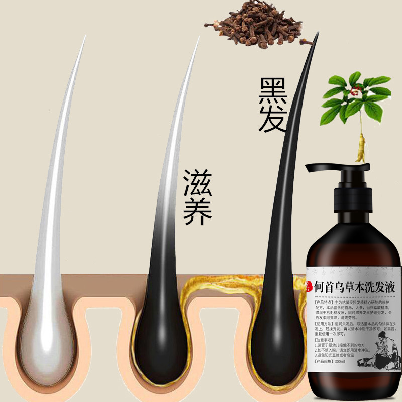 Shampoing Polygonum multifloru - Hair Care Herbal avis et prix